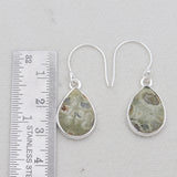 Rainforest Jasper Silver Earrings