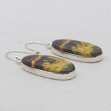 925 Sterling Silver Mustard Jasper Earrings