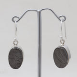 Shungite Silver Plain Earrings