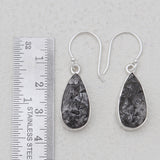 925 Sterling Silver Shunite Earrings