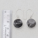 Shungite Silver Earrings