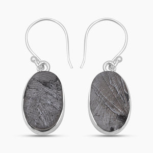 Shungite Silver Plain Earrings