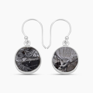 Shungite Silver Earrings