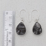925 Sterling Silver Shunite Earrings