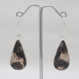 Montana Agate Silver Earrings