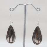Montana Agate Silver Earrings