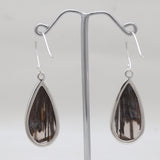 Montana Agate Silver Earrings