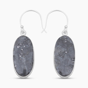 925 Sterling Silver Larvikite Earrings