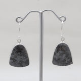 925 Sterling Silver Larvikite Earrings