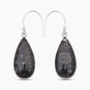 Turritella Agate Silver Earrings