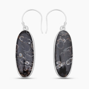 Turritella Agate Silver Earrings