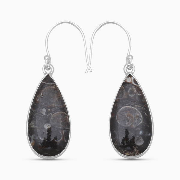 Turritella Agate Silver Earrings