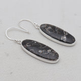 Turritella Agate Silver Earrings