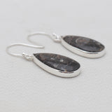 Turritella Agate Silver Earrings