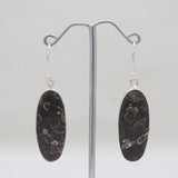 Turritella Agate Silver Earrings
