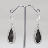 Turritella Agate Silver Earrings