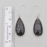 Turritella Agate Silver Earrings