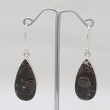 Turritella Agate Silver Earrings