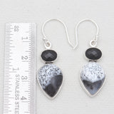 Dendritic Opal & Black Onyx Silver Earrings