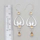 Red Garnet Sliver Drop Earrings