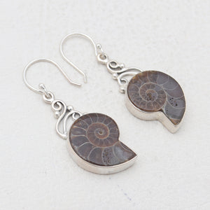 Ammonite Silver Earrings