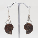 Ammonite Silver Earrings