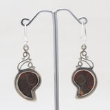 Ammonite Silver Earrings