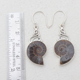 Ammonite Silver Earrings