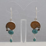 Ammonite  Silver Earrings