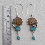 Ammonite  Silver Earrings