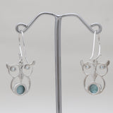 Rainbow Moonstone Silver Earrings