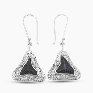 Fossilized Shark Tooth Silver Earrings