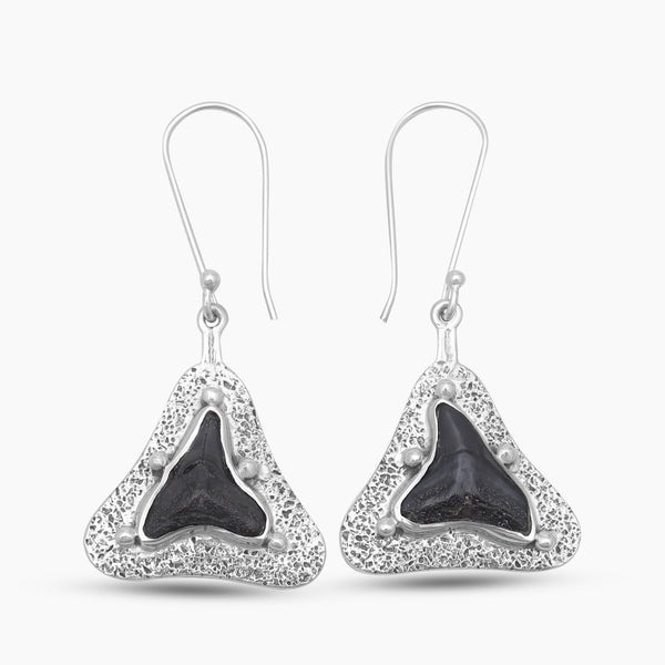 Fossilized Shark Tooth Silver Earrings