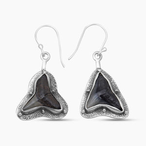 Fossilized Shark Tooth Silver Earrings