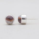 Crazy Lace Agate Silver Stud Earrings