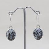 Medicine Bow Plume Agate Silver Earrings