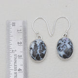 Medicine Bow Plume Agate Silver Earrings