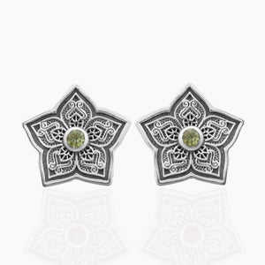 Garnet Silver Studs Studs Earrings