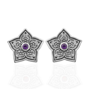 Garnet Silver Studs Studs Earrings