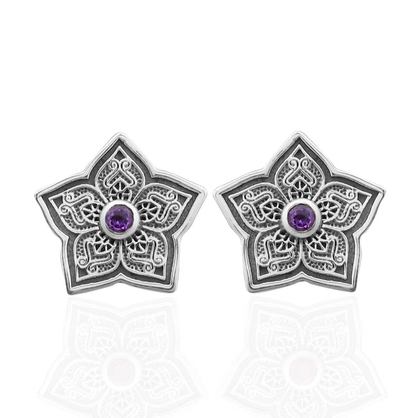 Garnet Silver Studs Studs Earrings