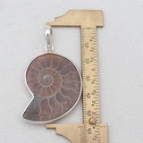 925 Solid Silver Ammonite Pendants