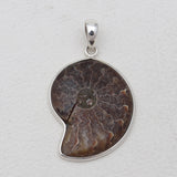 925 Solid Silver Ammonite Pendants