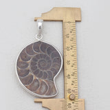 925 Solid Silver Ammonite Pendants
