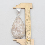 Natural Fossil Coral Silver Pendants