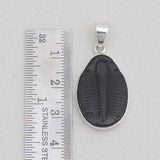 925 Sterling Silver Trilobite Pendants