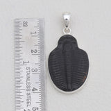 925 Sterling Silver Trilobite Pendants