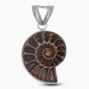 Ammonite Fossil Silver Pendants