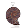 Natural Ammonite Fossil Pendant 925 Sterling Sliver Jewelry