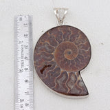 925 Sterling Sliver Ammonite Fossil Pendant