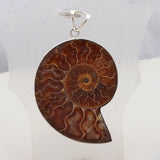 925 Sterling Sliver Ammonite Fossil Pendant